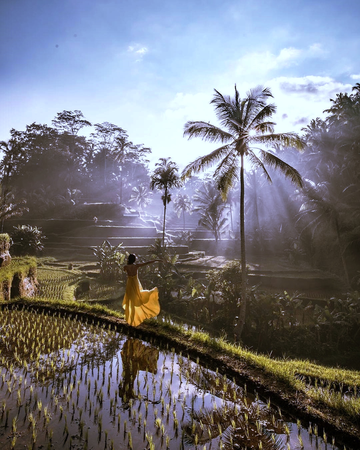 Sawah Terasering Tegalalang