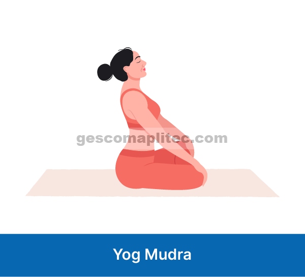 Yog Mudra (Lipat Depan dalam Vajrasana)