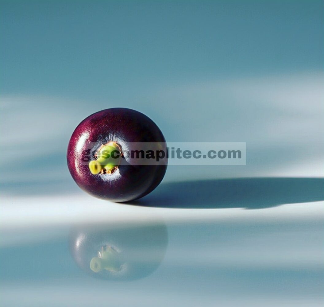 Buah Acai