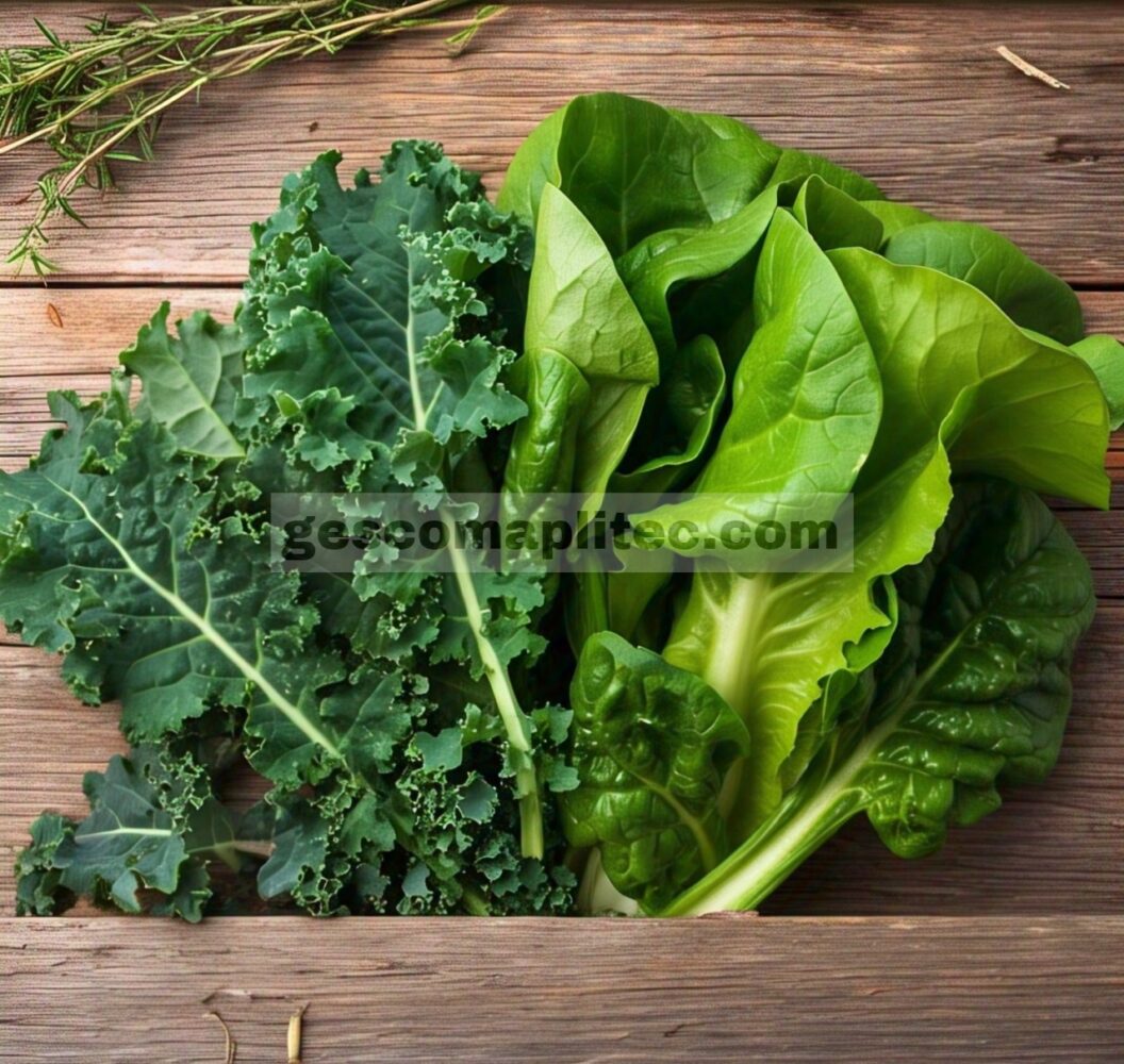 Sayuran Berdaun Hijau