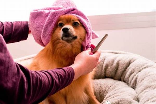 Grooming Anjing