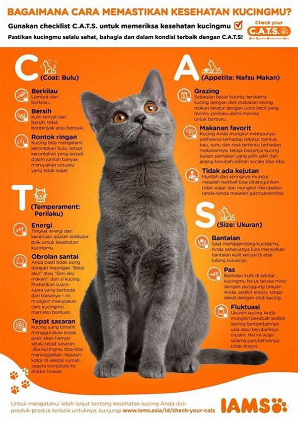 Kesehatan Kucing