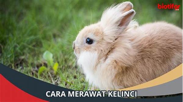 Merawat Kelinci