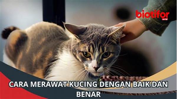 Cara Merawat Kucing