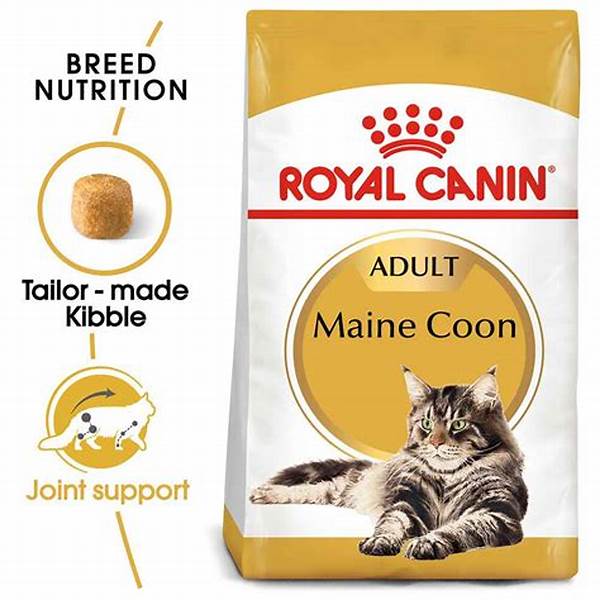 Dry Food Terbaik