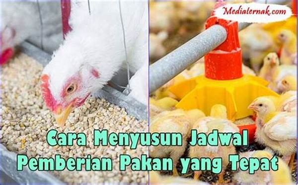 Jadwal Pakan Tepat