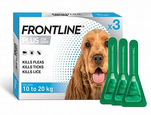 Obat Kutu Anjing