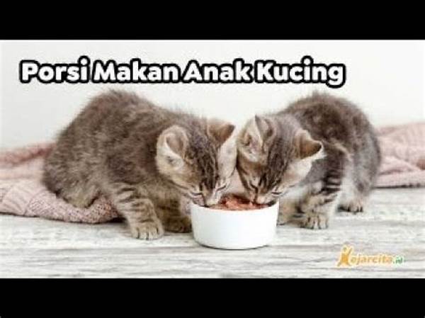 Porsi Anak Kucing