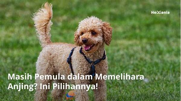 Peliharaan Untuk Pemula