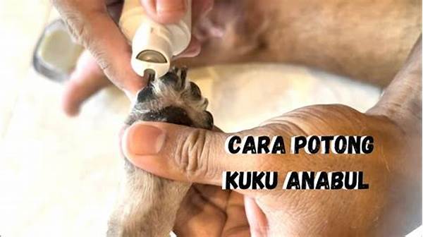 Potong Kuku Anjing
