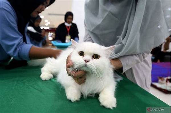 Tips Grooming Rumahan