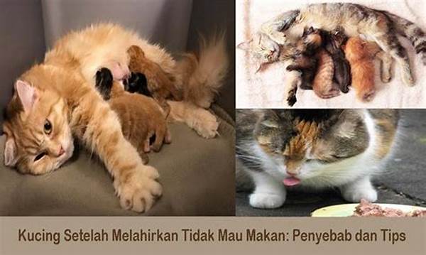 Hewan Tidak Mau Makan